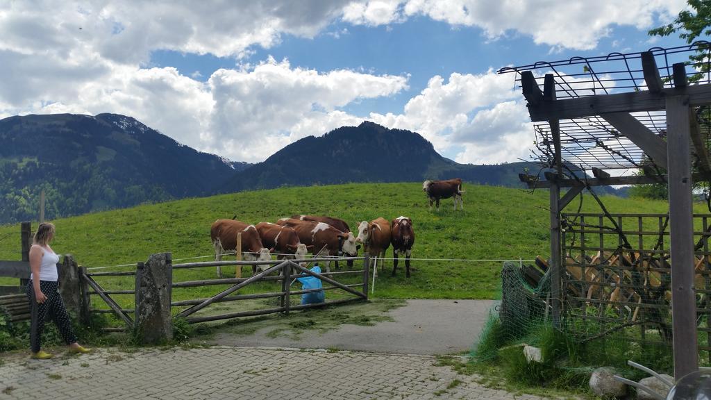 Appartements Berger Kitzbuehel Exteriér fotografie